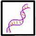 DNA